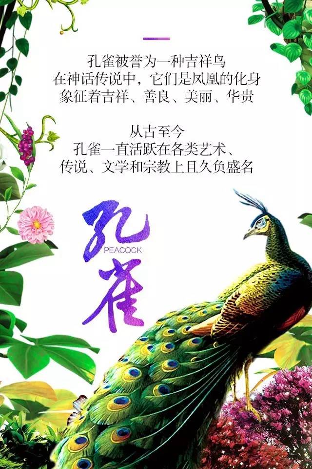 【915-918邵陽秋季車展】鳳臨枝頭，雀雀雀雀雀實驚艷！