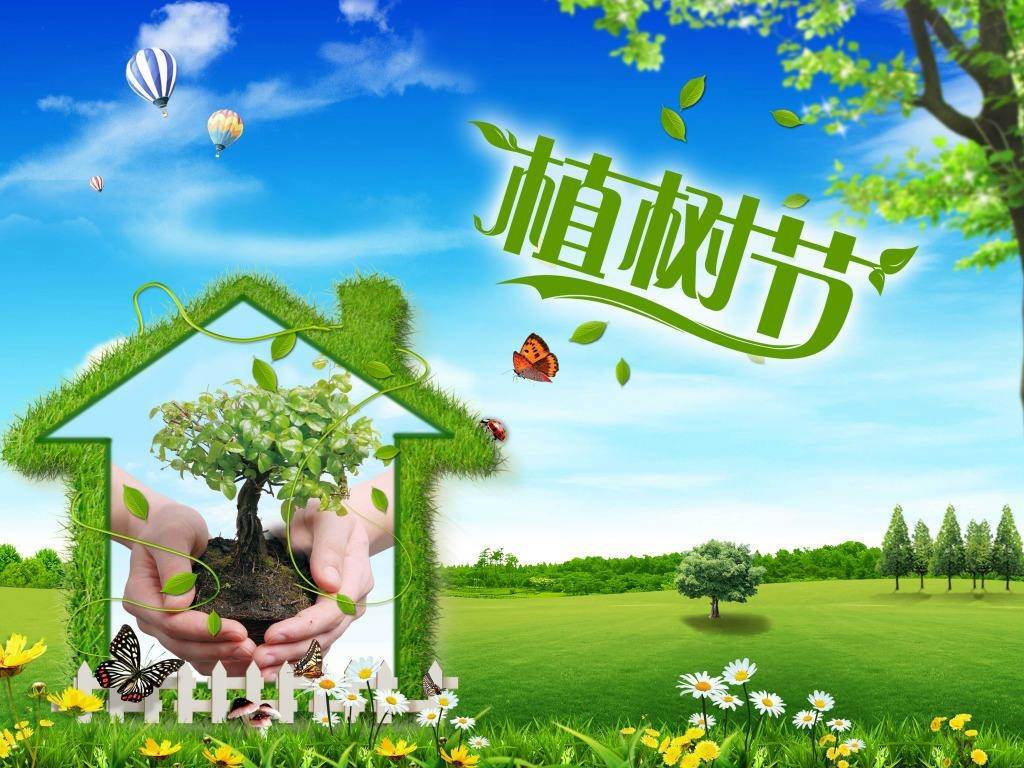 北京現(xiàn)代“智現(xiàn)代，植未來”，你我共建森林邵陽