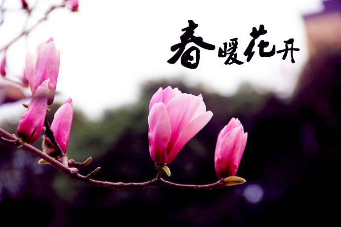 春暖花開 教你春季如何做汽車保養(yǎng)！